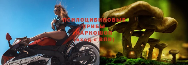 соль курить ск Богородицк
