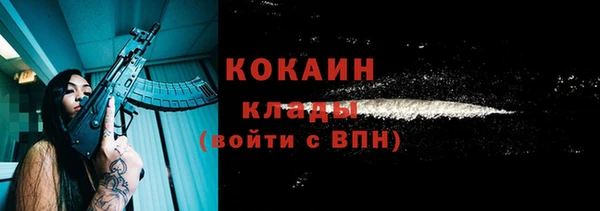 ешки Богданович