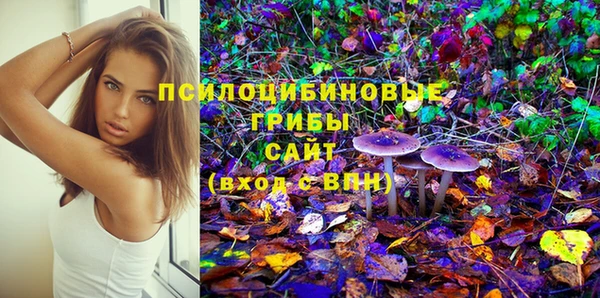 соль курить ск Богородицк